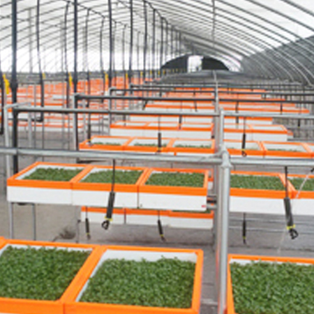 山東泗水鑫峰面粉機(jī)械有限公司