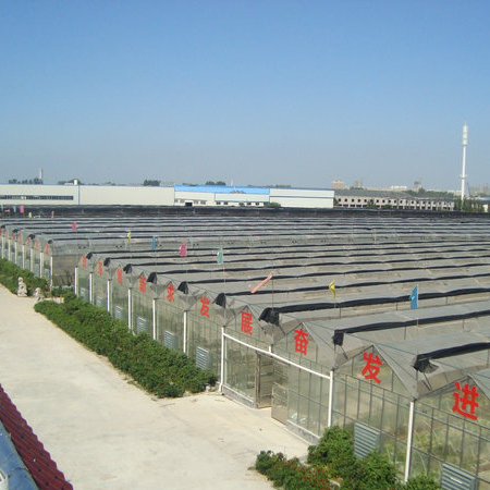 山東泗水鑫峰面粉機(jī)械有限公司