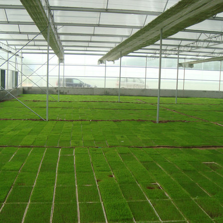 山東泗水鑫峰面粉機(jī)械有限公司